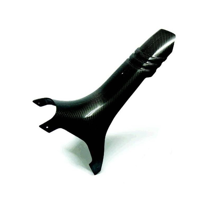 SCOCCA CARBONIO
