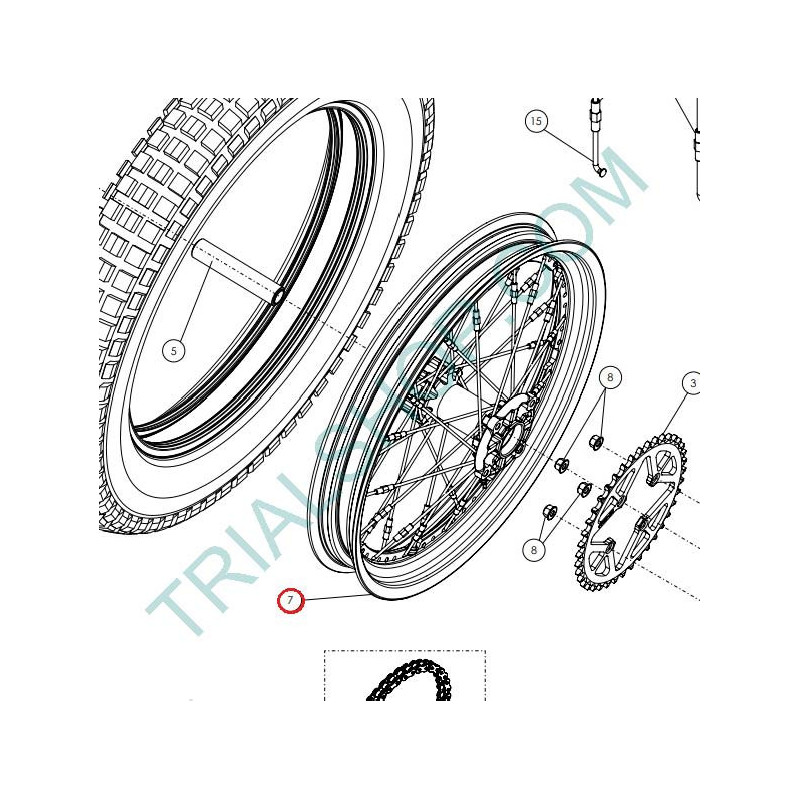 Cerchio ruota posteriore TRS RR 2017-2018