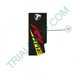 Adesivo Forcella DX TRS RR