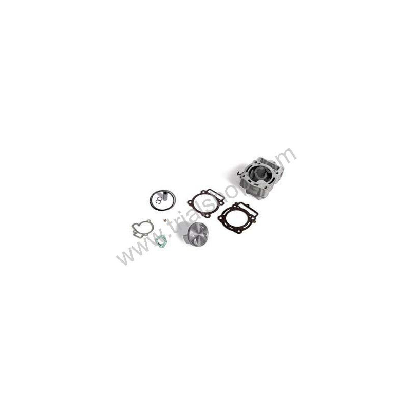 Kit Trasformazione Rev 4t 300 Cc / Modification Kit Rev 4t 300 Cc