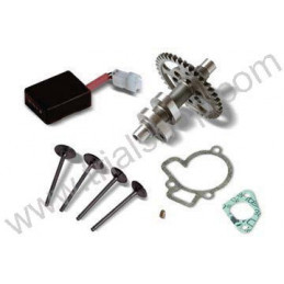 KIT TRASF.250CC CAMME VALV.TITANIO BETA EVO4T