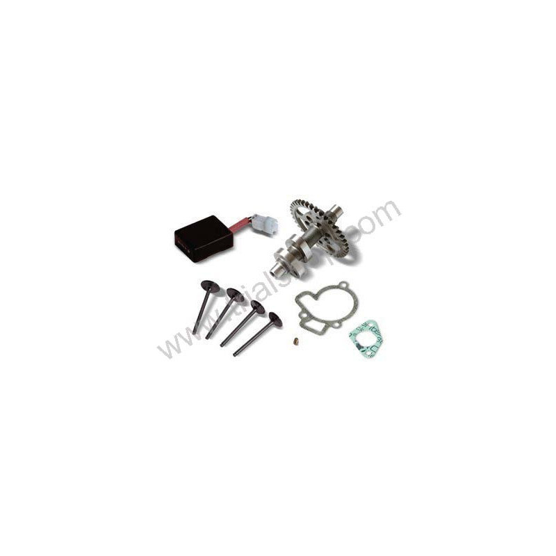 KIT TRASF.250CC CAMME VALV.TITANIO BETA EVO4T