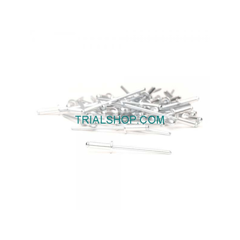 Rivetto Alluminio 4X12mm da 50 PZ