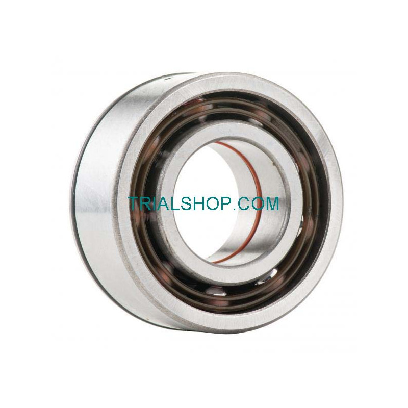 Cuscinetto dell’Albero Motore con Paraolio con Labbra PTFE Gas Gas ’02-’20