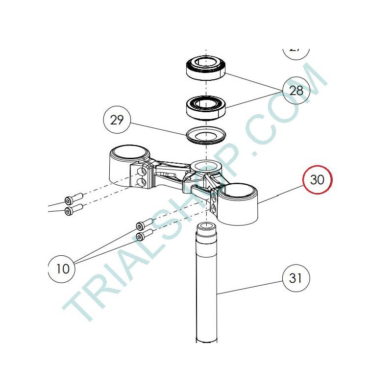 PLETINA INFERIOR SUSPENSION