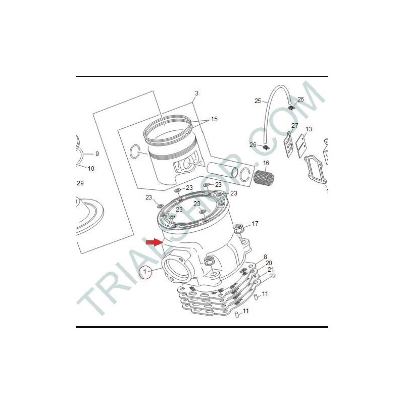 cilindro 11TR 290CC