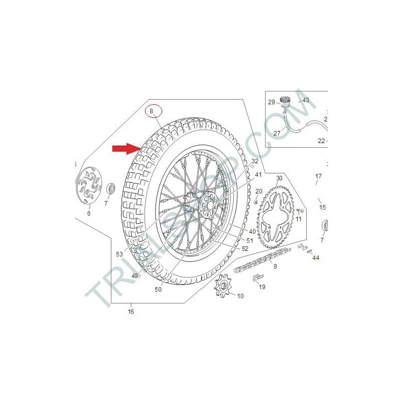 ruota post. 250/290 TR dorata