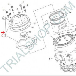 testa cilindro 11TR 290CC