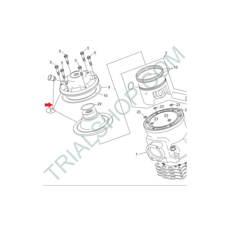 testa cilindro 11TR 290CC