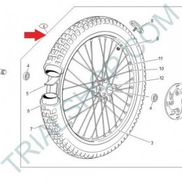 ruota anteriore dorata 011