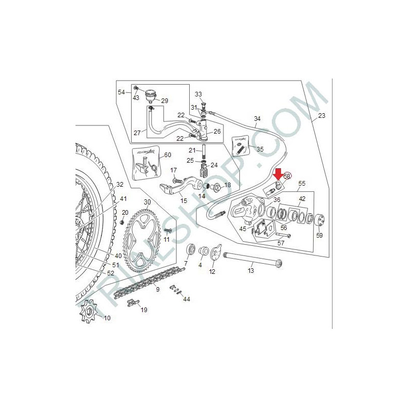 kit spurgo formula