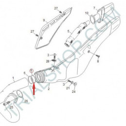ORING SCARICO FACTORY SHERCO