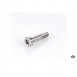 TITANIUM SCREW M10x40mm