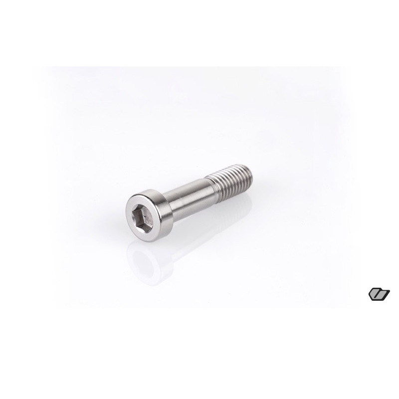 TITANIUM SCREW M10x40mm