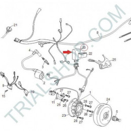 CDI. TRIAL doppia curva 2T 125