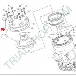 testa cilindro 11TR 250CC