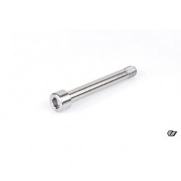 TITANIUM SCREW M10x80mm