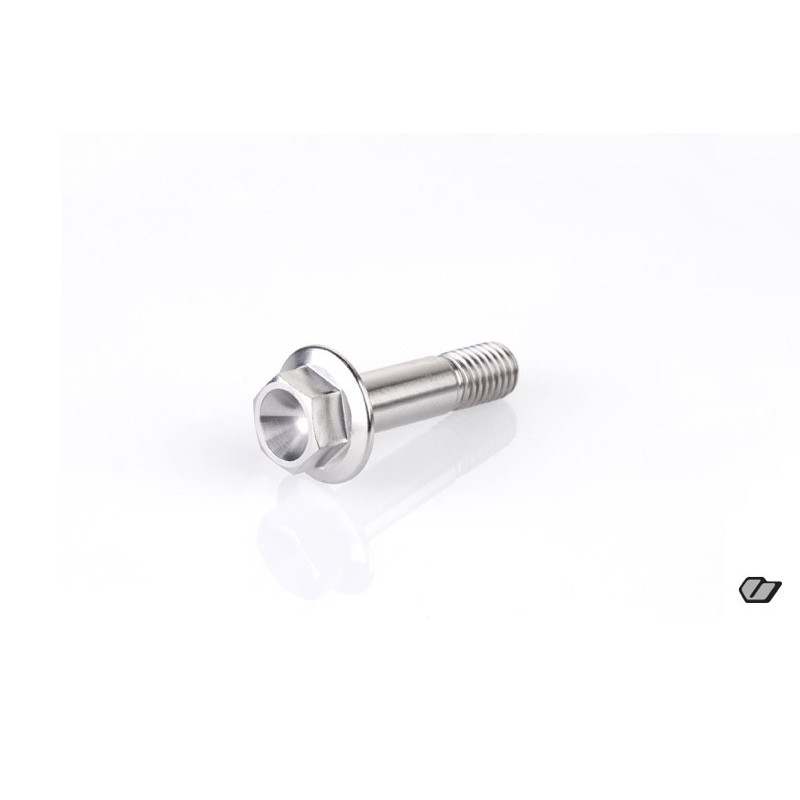 TITANIUM SCREW M10x40mm