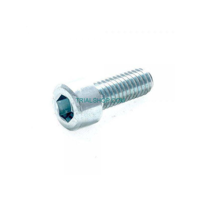 Bullone Allen M6 da 10 Pz – Jitsie –