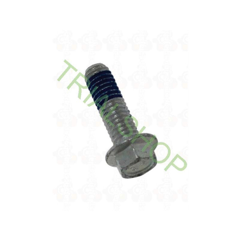 vite esagonale M6x18