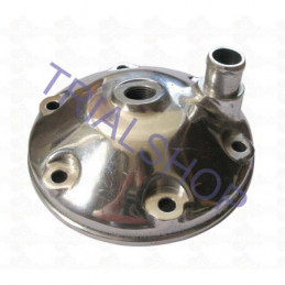 Testa 250