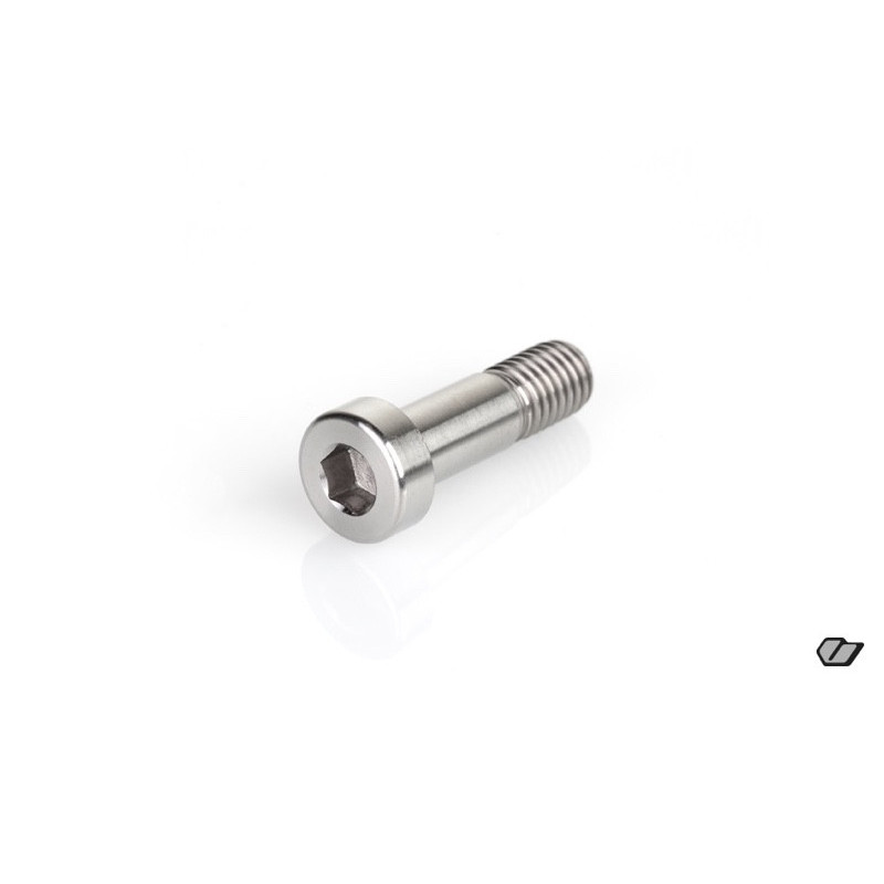 TITANIUM SCREW M8x28mm