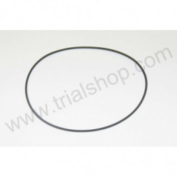 Or Testa Grande 100×2
