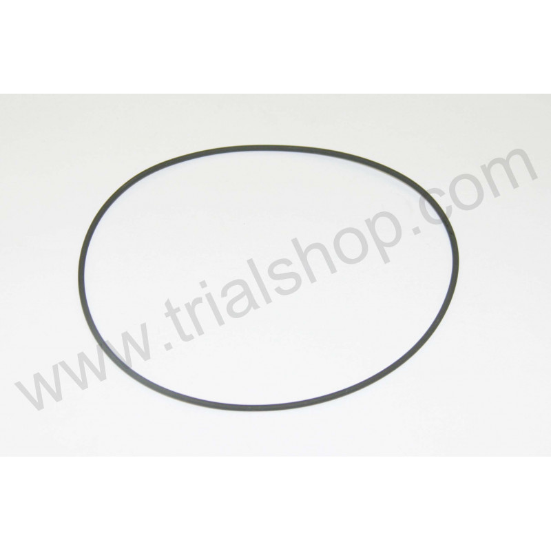 Or Testa Grande 100×2
