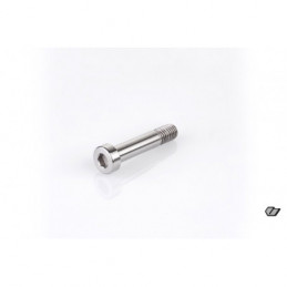 TITANIUM SCREW M8x45mm
