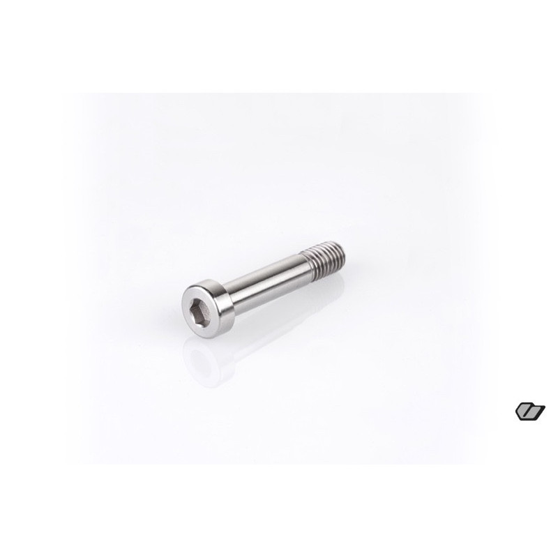 TITANIUM SCREW M8x45mm