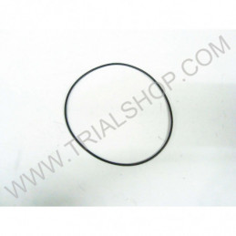 Or Testa 100 X 2