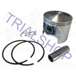 Pistone 290 Cc d.75,95