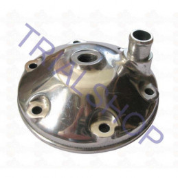 Testa 290 Cc