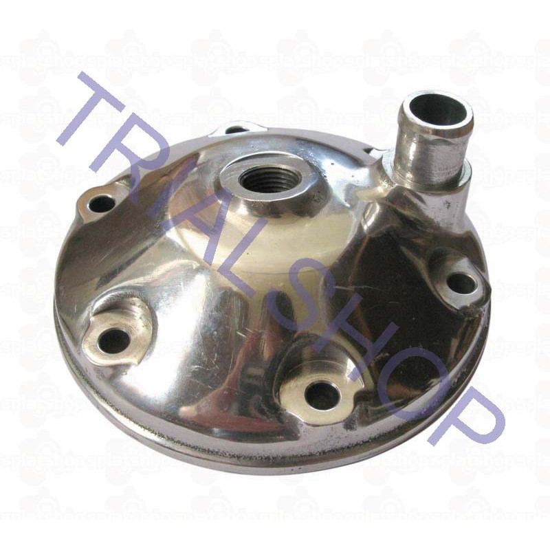 Testa 290 Cc
