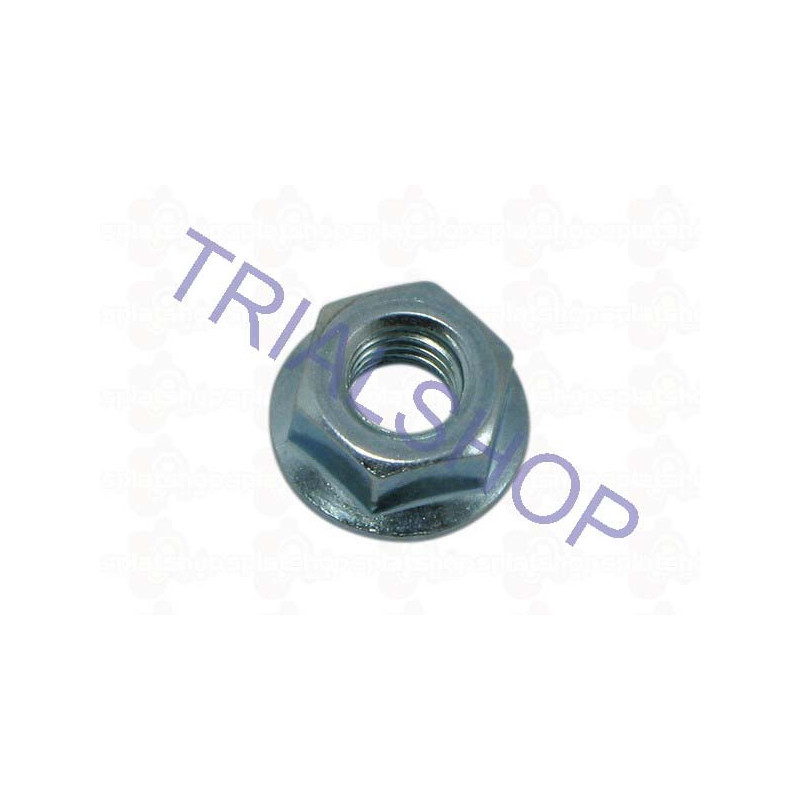 Dado X8