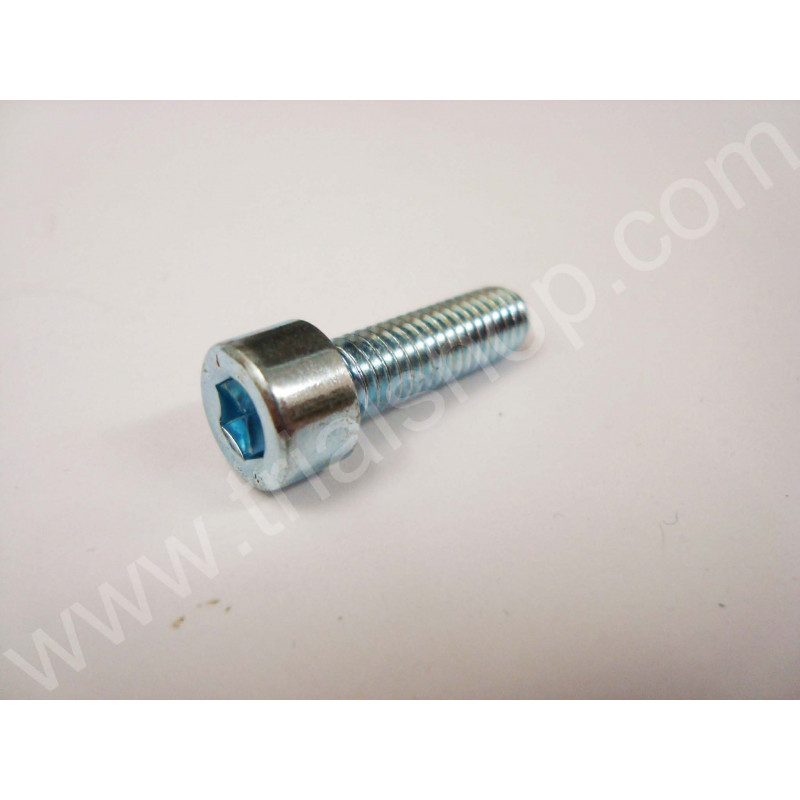 Vite 6×20 Uls