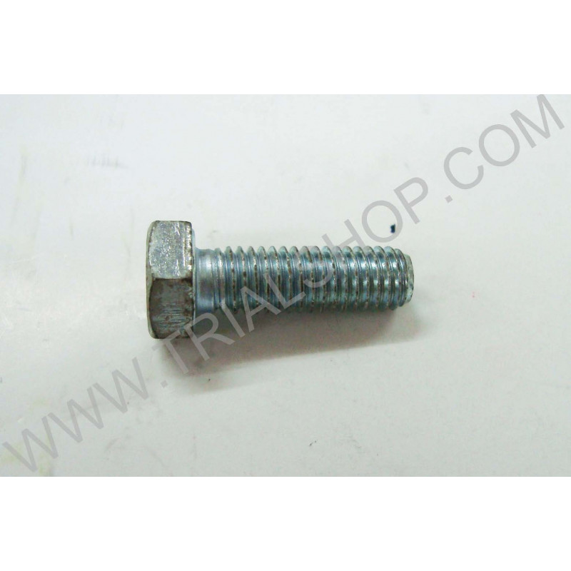 Vite Hexag 8×25