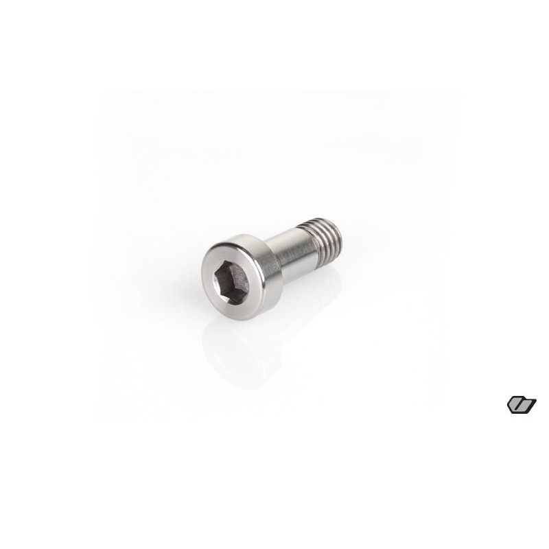 TITANIUM SCREW M8x20mm