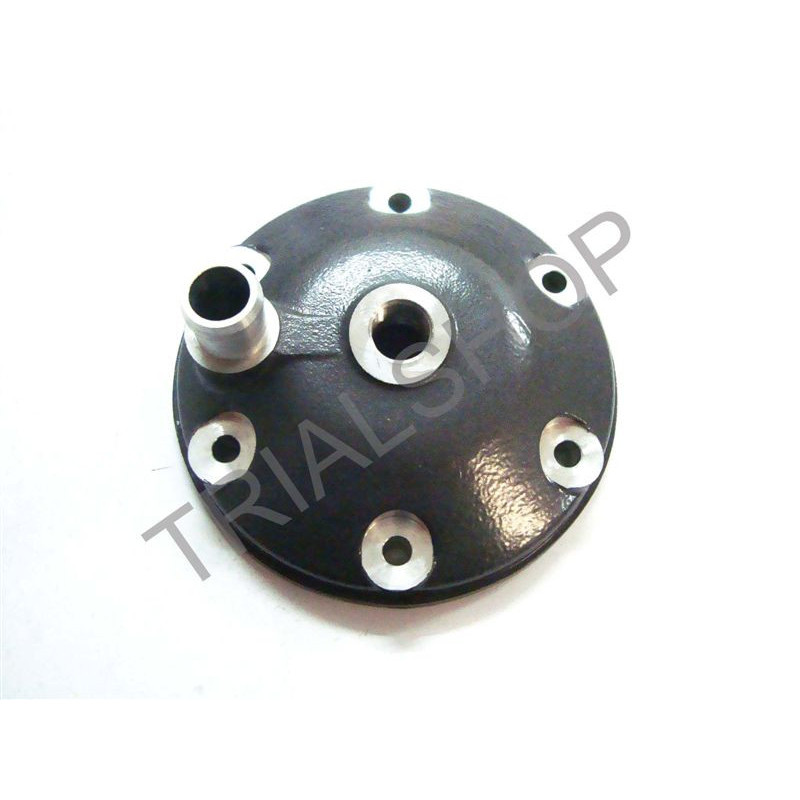 Testa 2.5 Mod.2003
