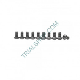 Bullone M6X10 da 10 -Magura-