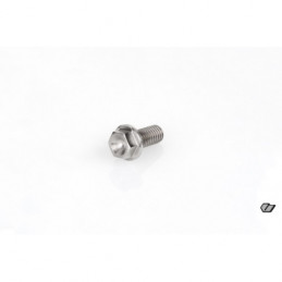 TITANIUM SCREW M6x14mm