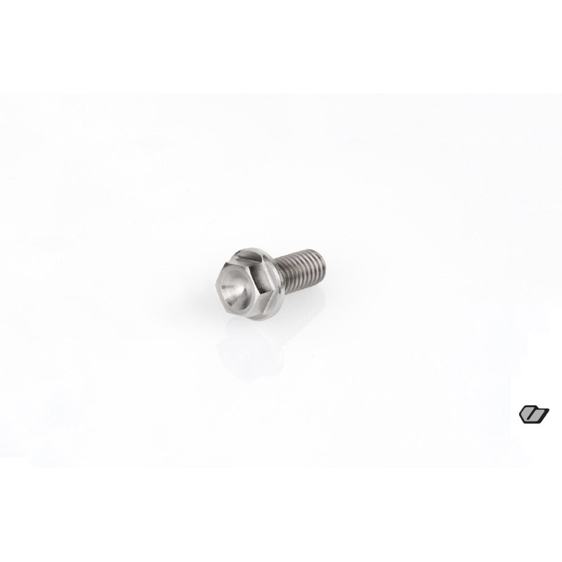 TITANIUM SCREW M6x14mm