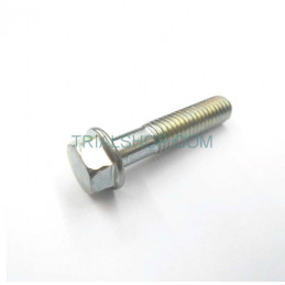 VITE FLANGIATA M6X28
