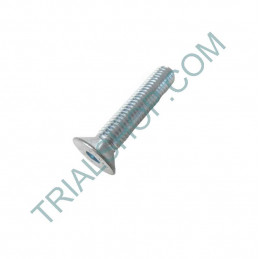 VITE BRUGOLA CONICA 8X45