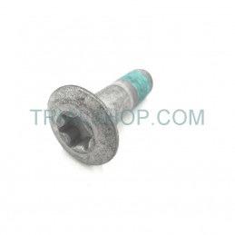 VITE SPEC.TGS TORXS M8X26...