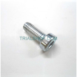 SCREW M6x16 DIN7984 8.8