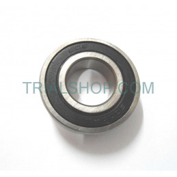 BALL BEARING 6004 2RS