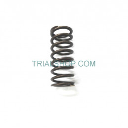 SPRING VALVE INNER molla...