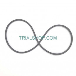 ELASTICO FIS. BATTERIA RR...