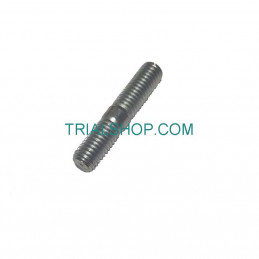 PRIGIONIERO M8X25